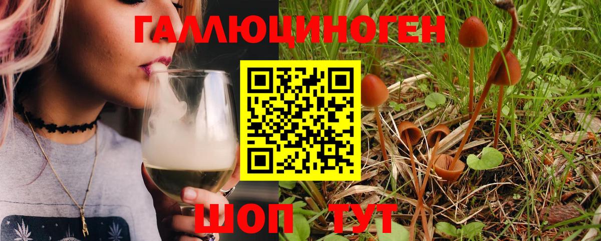 Псилоцибиновые грибы Magic Shrooms  Вход с VPN  Назрань 