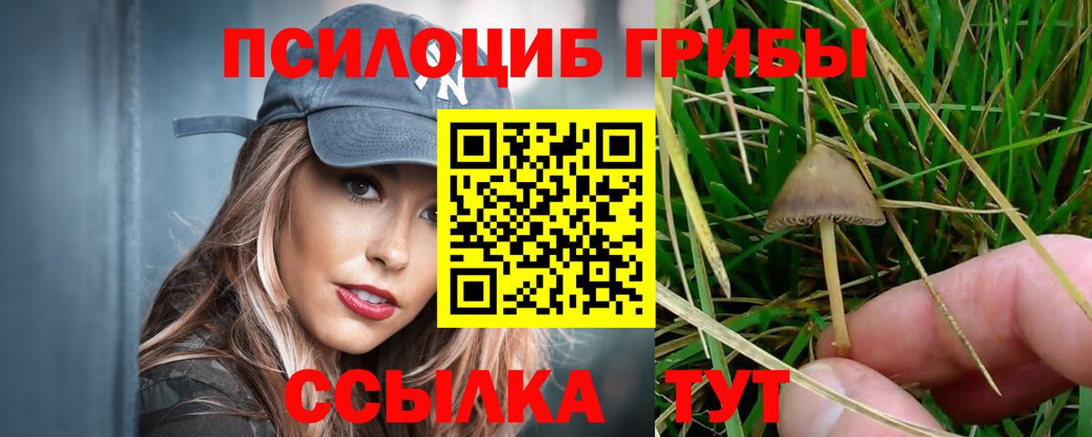 Галлюциногенные грибы прущие грибы Назрань