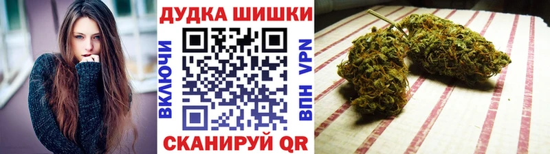 Конопля сатива Назрань
