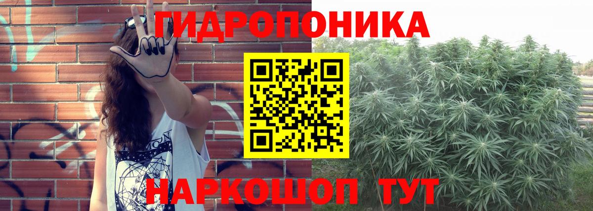 Бошки марихуана SATIVA & INDICA  Вход с VPN  Назрань  Канабис тримм  Марихуана индика 
